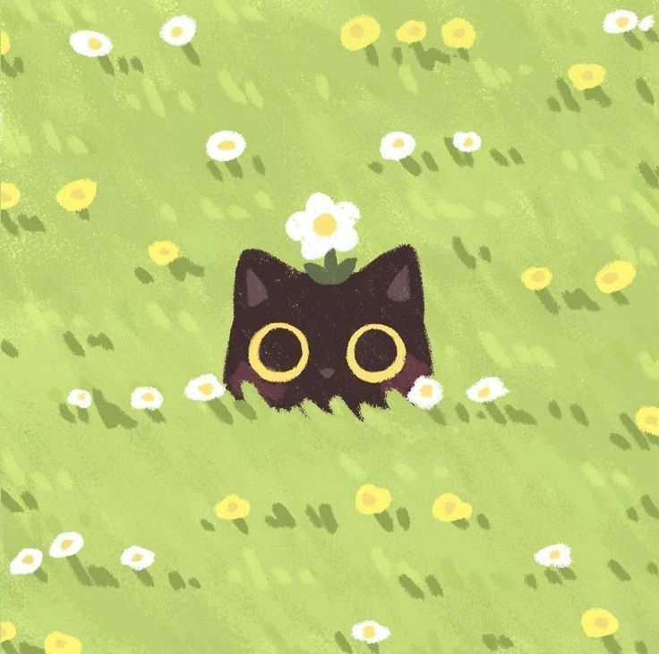Kitty in grass